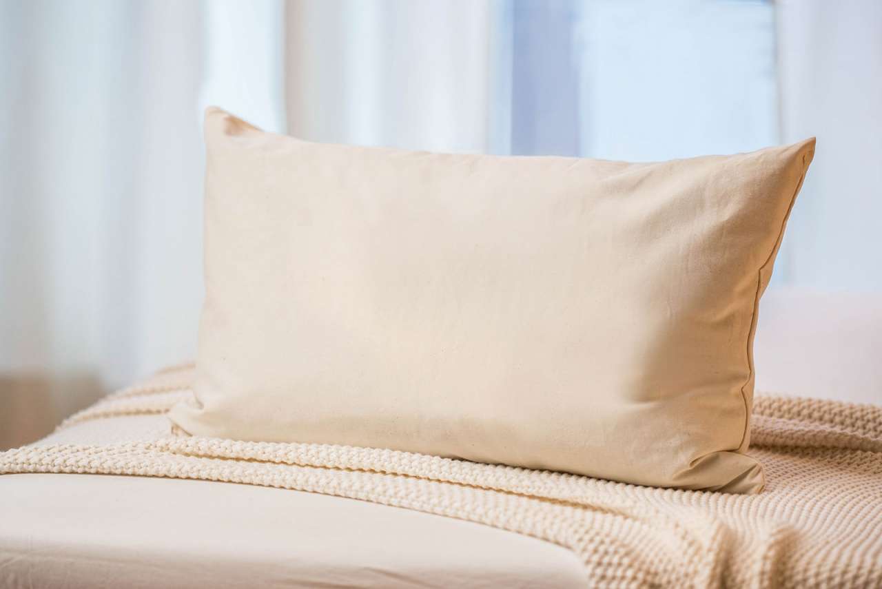 Purenature Organic Spelt Pillow