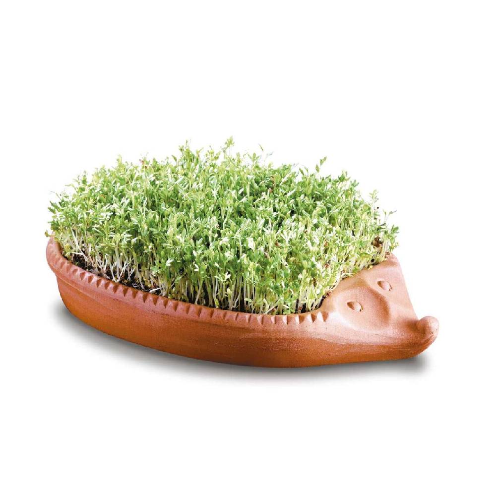 roemertopf Cress Hedgehog