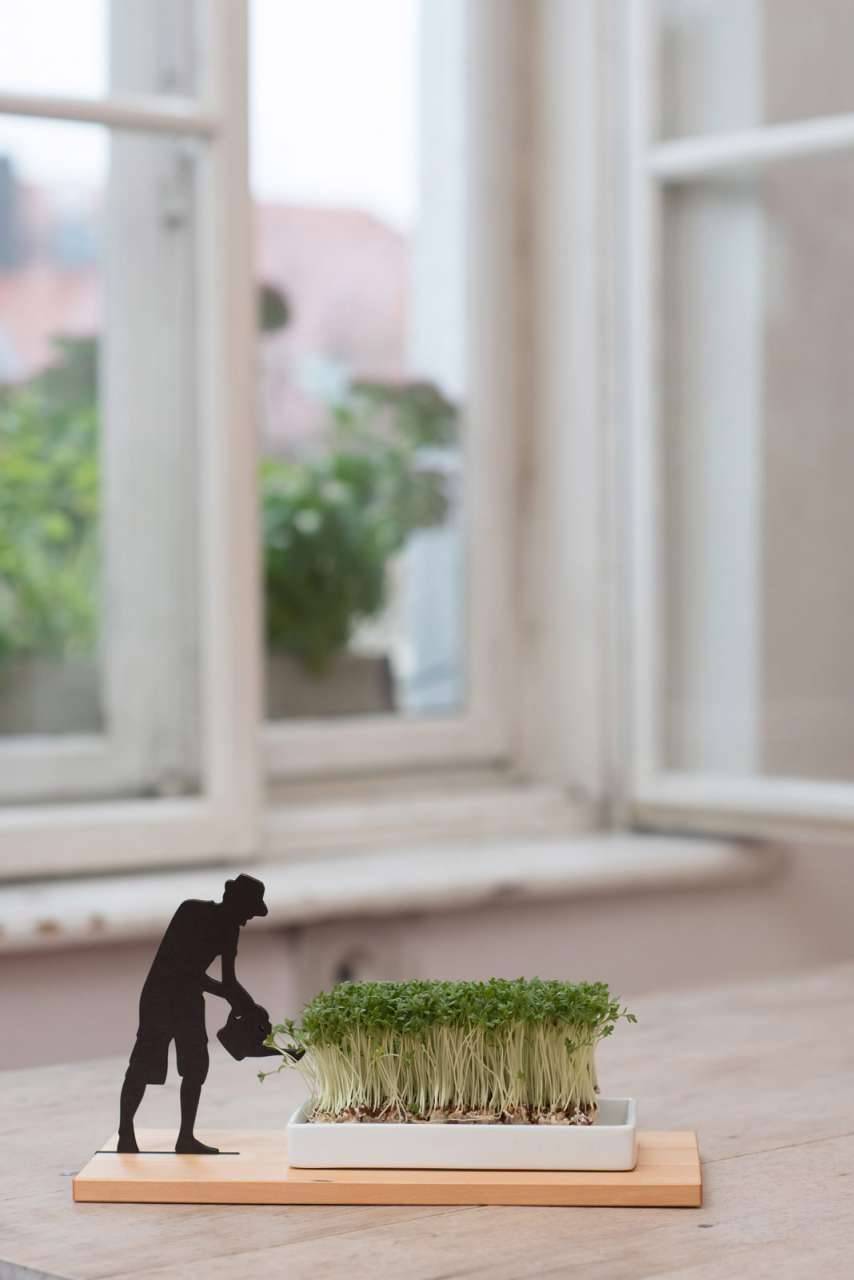 Side-by-side Cress Dish "Smart & Green"