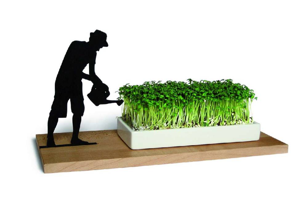 side-by-side Cress Dish "Smart & Green"