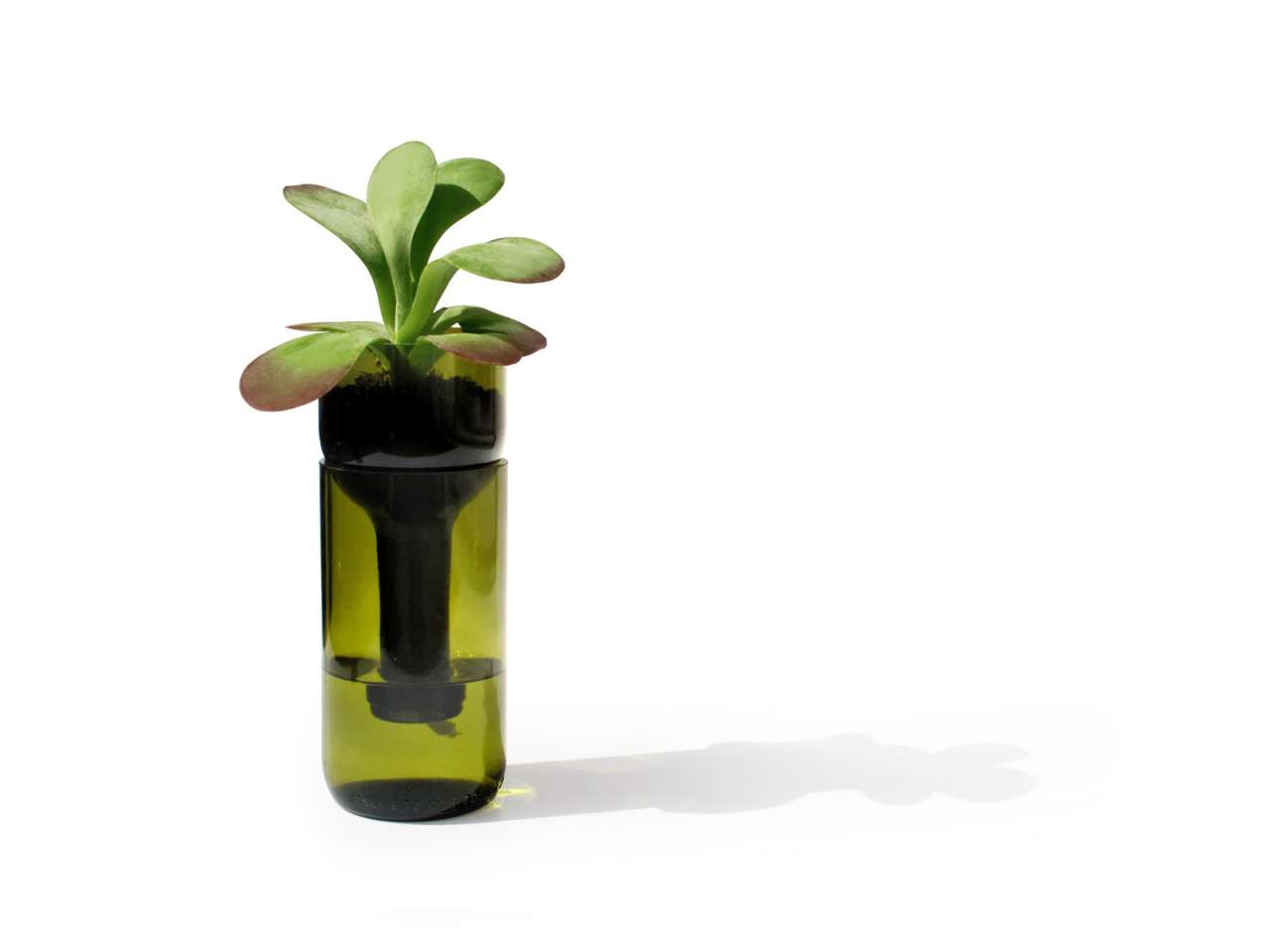 Side-by-side Side By Side Flower Pot Self Watering