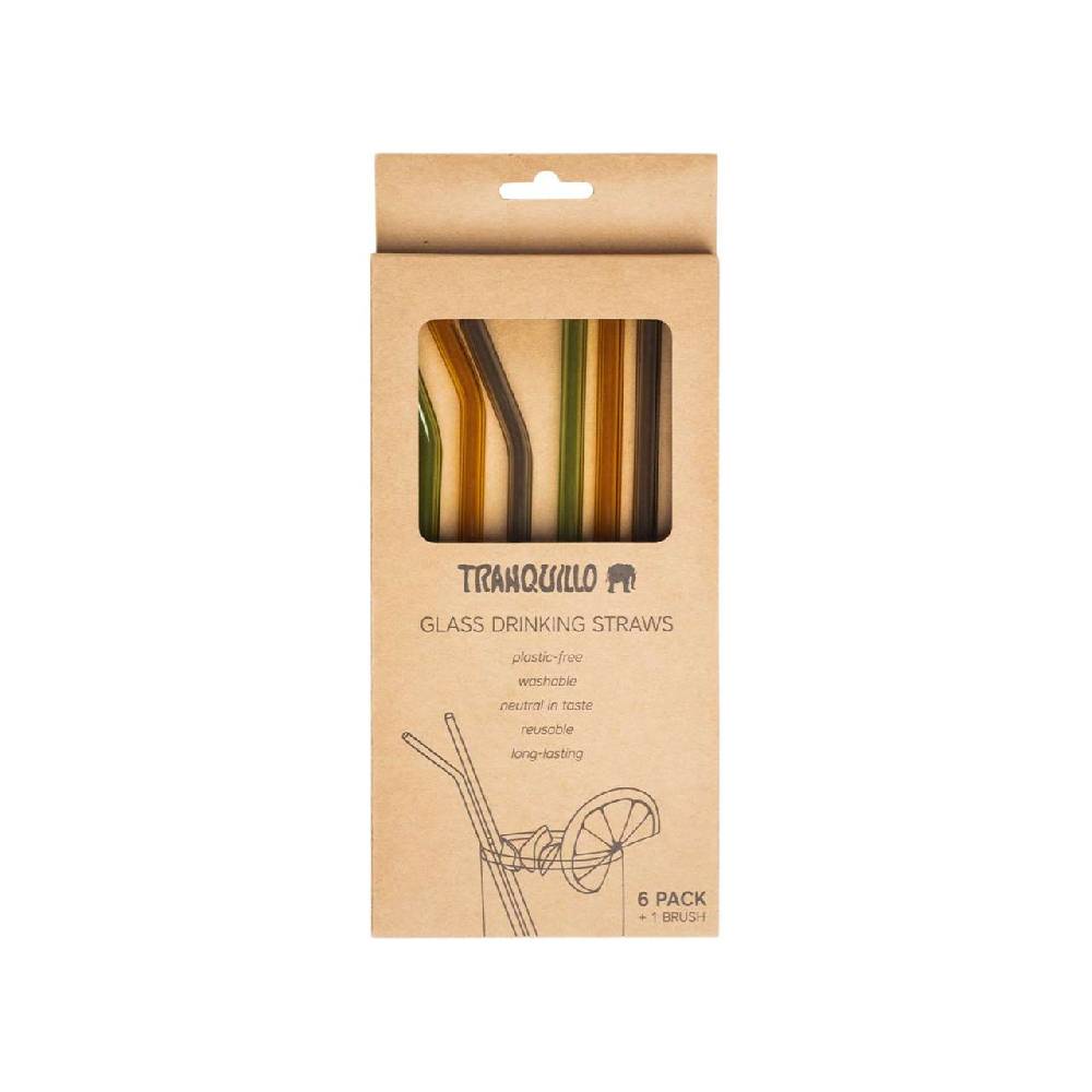 Tranquillo Tranquillo Straw Set 6 Pieces, Glass