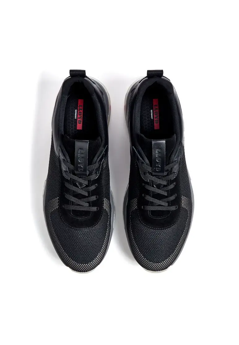 Lloyd AARON Art. 13-025-10