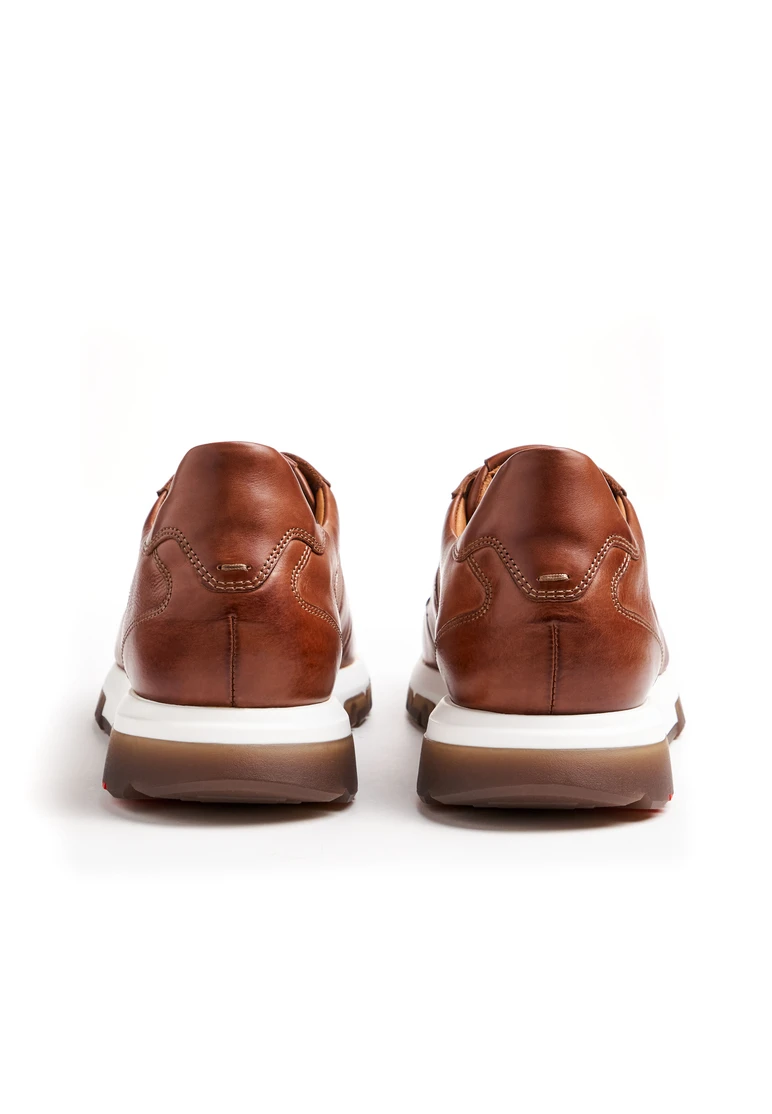 Lloyd ALBANY Art. 13-024-12