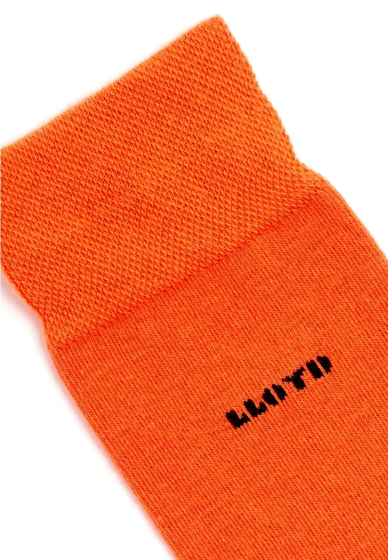 Lloyd Alexander Art. E23-61006-BN