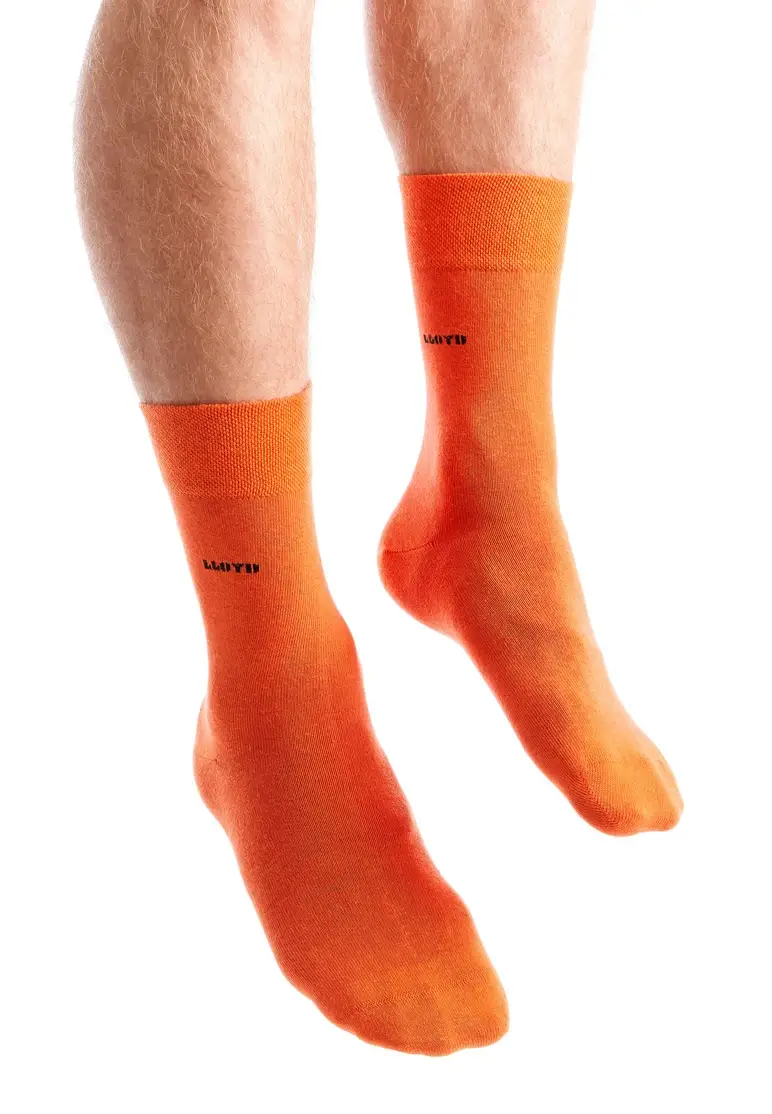 Lloyd Alexander Art. E23-61006-BN