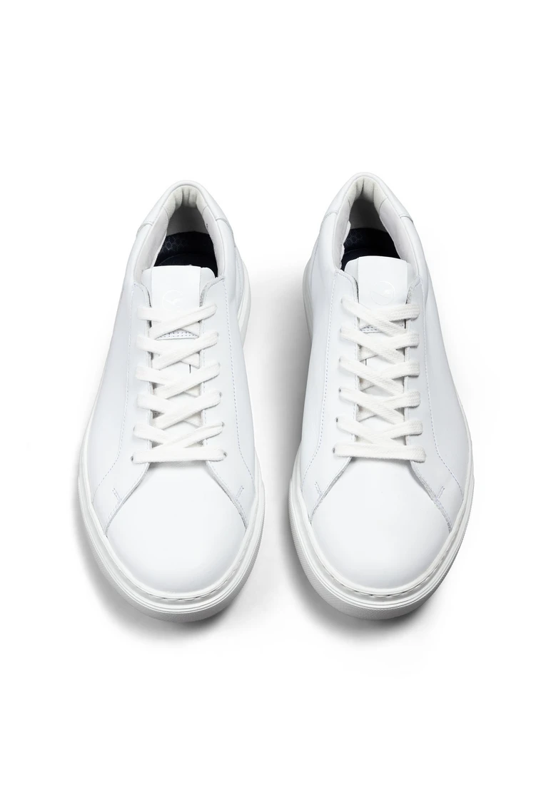 Lloyd ARDEN Art. 14-207-21