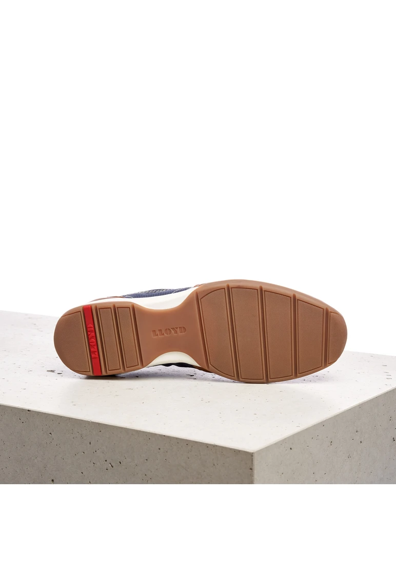 Lloyd BAILEY Art. 12-002-12