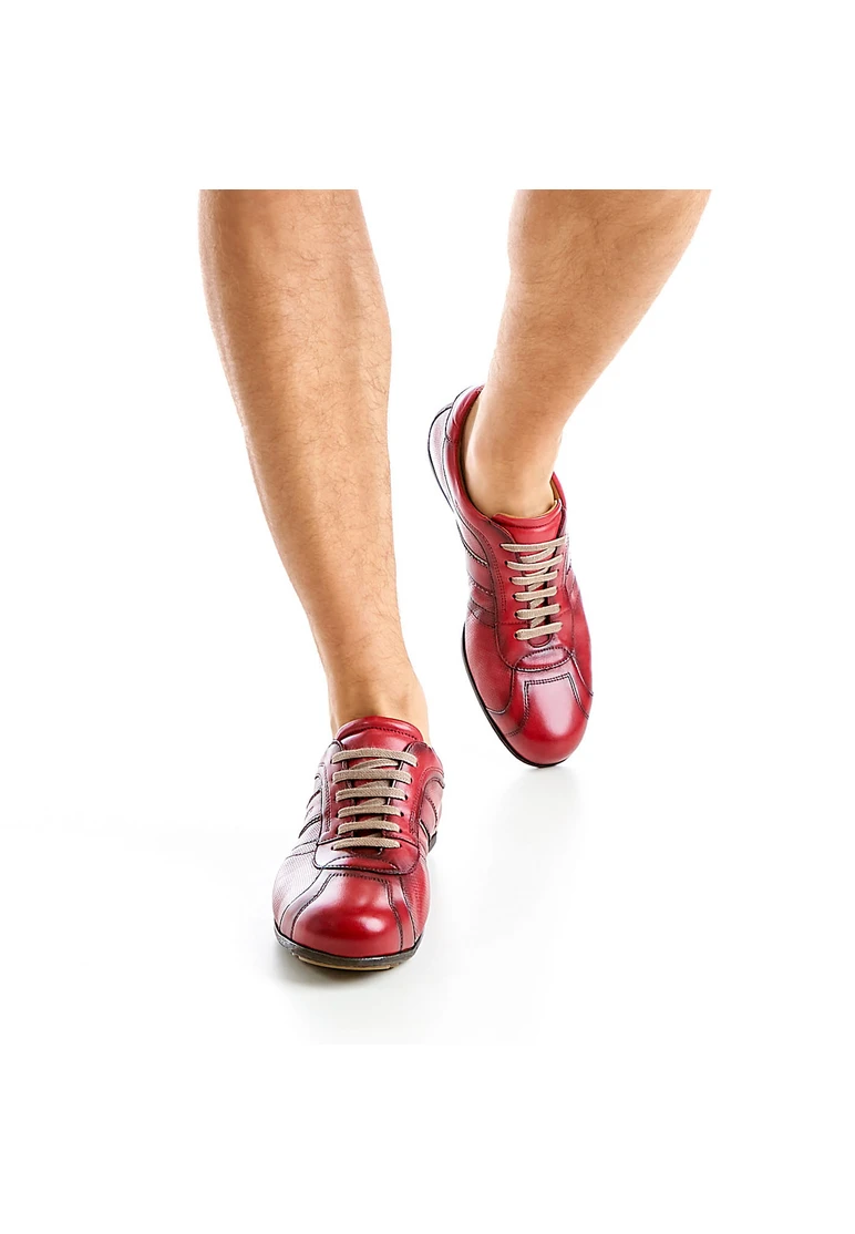 Lloyd BAREA Art. 13-050-36