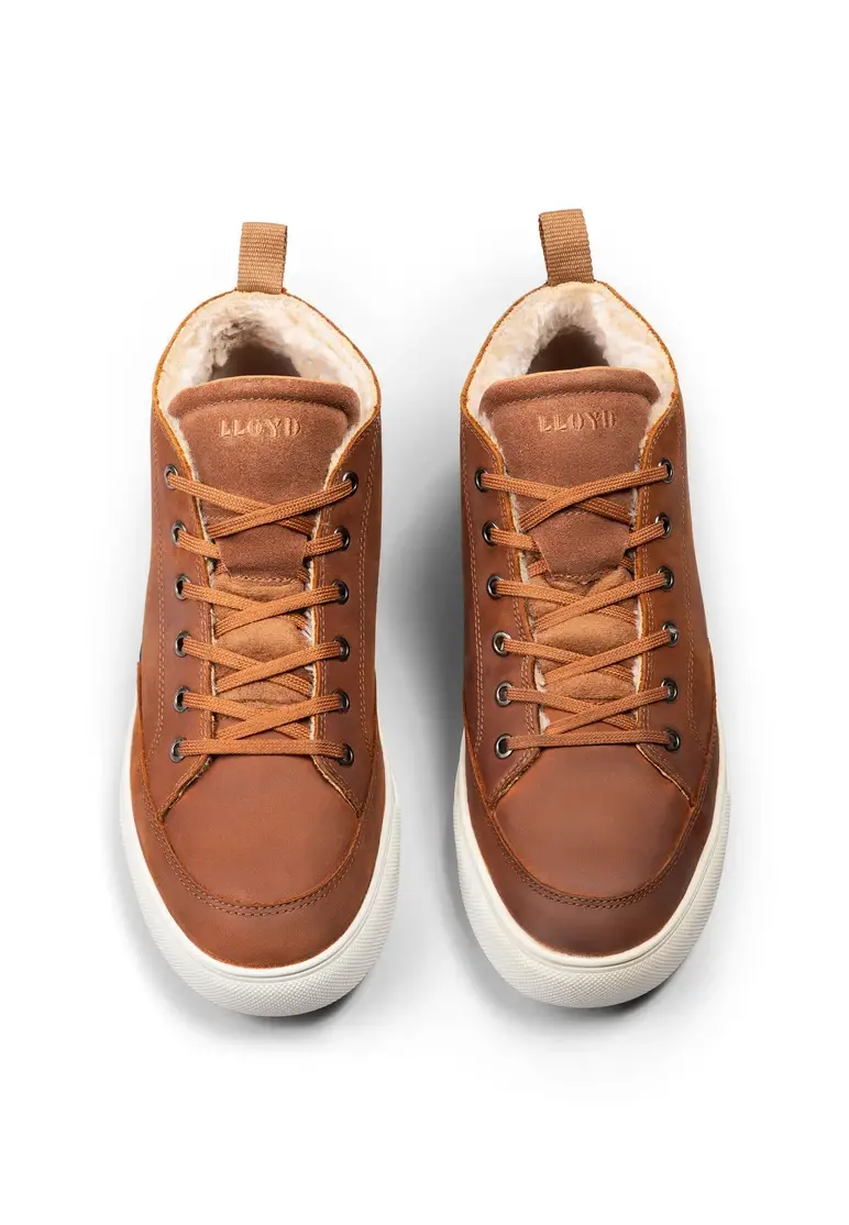 Lloyd EDWARD Art. 23-909-01