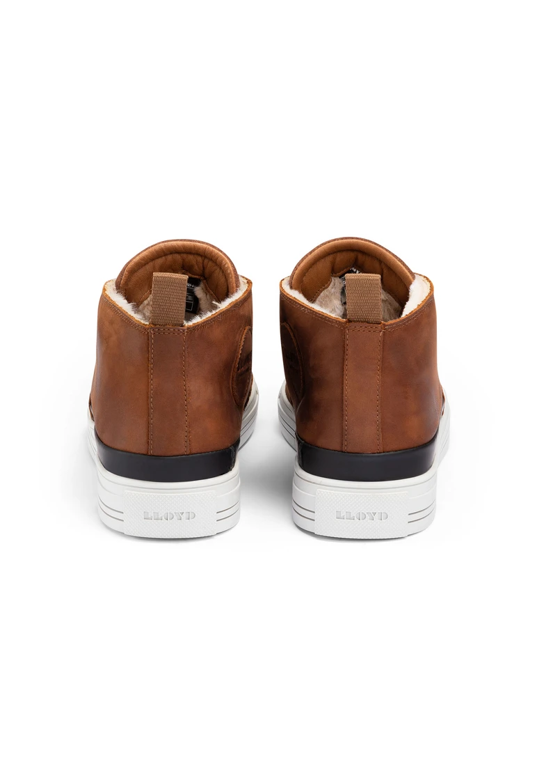 Lloyd EDWARD Art. 23-909-01