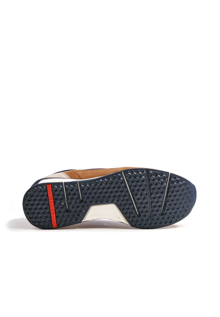 Lloyd ELOY Art. 13-408-11