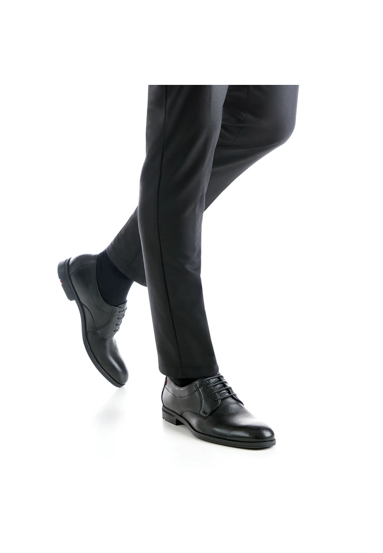 Lloyd FERENC Art. 13-018-00