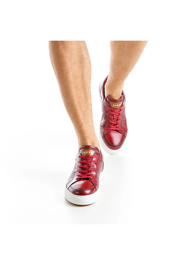 Lloyd MALAGA Art. 13-034-36