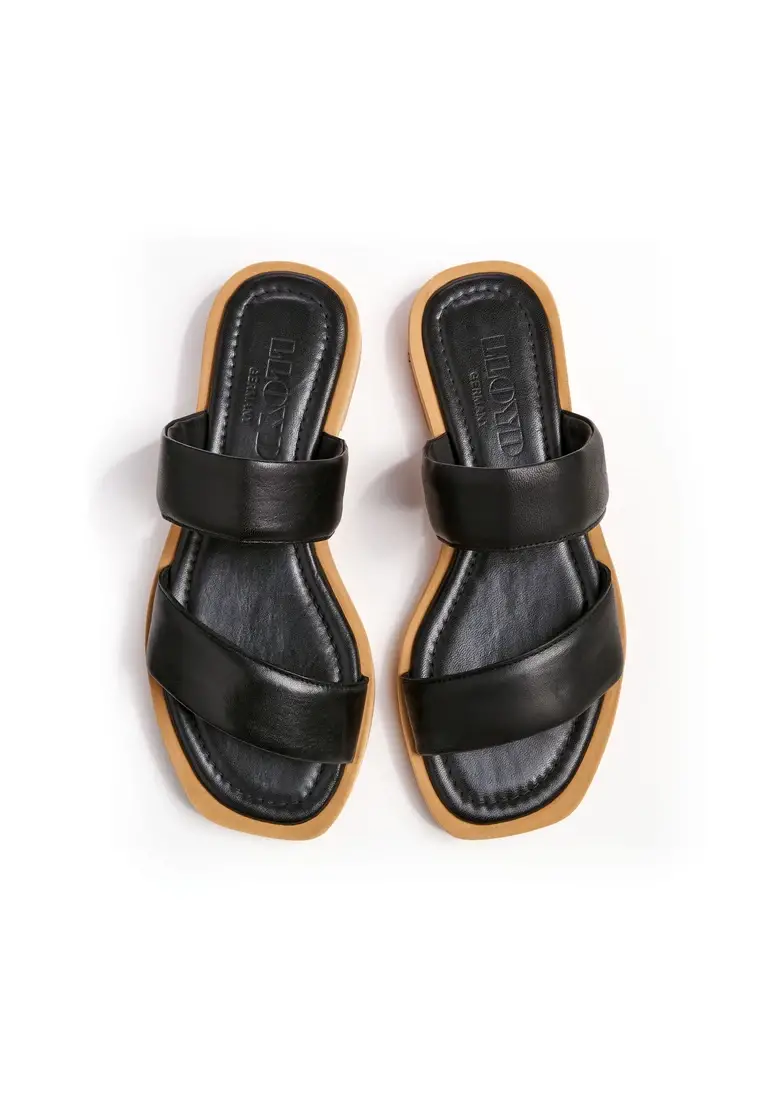 Lloyd PANTOLETTE Art. 13-501-00