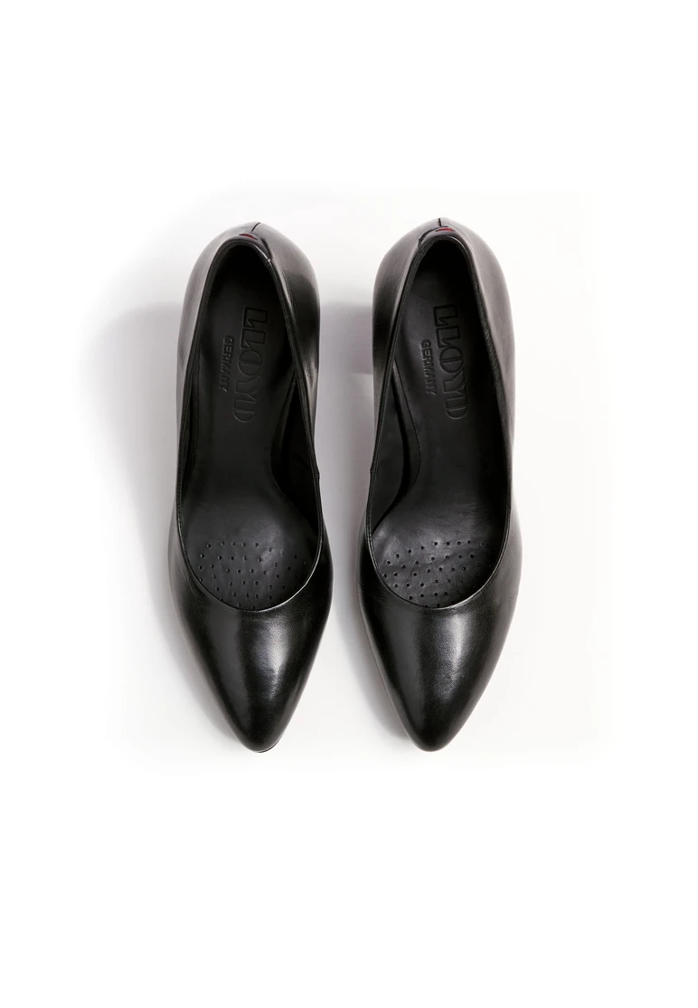 Lloyd PUMPS Art. 13-554-00