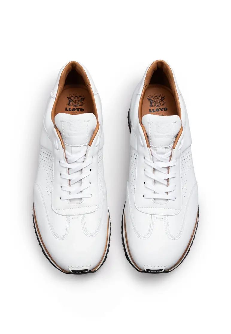 Lloyd WALCOTT Art. 20-755-01