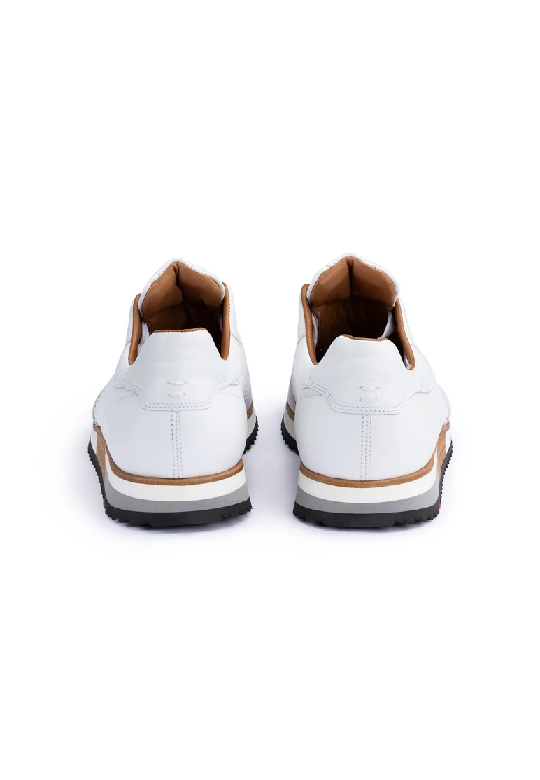 Lloyd WALCOTT Art. 20-755-01