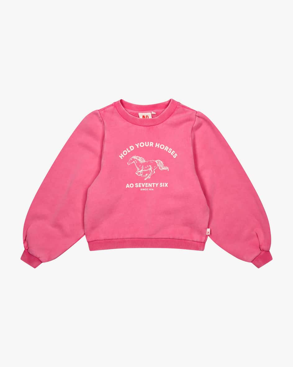 AO76 Sweatshirt