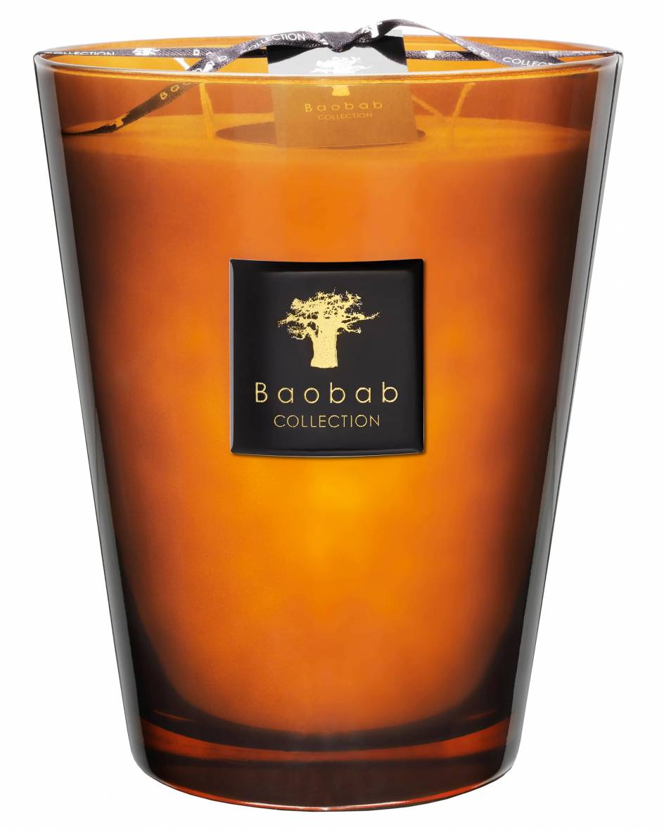 Baobab Cuir de Russie Max 24 Kerze