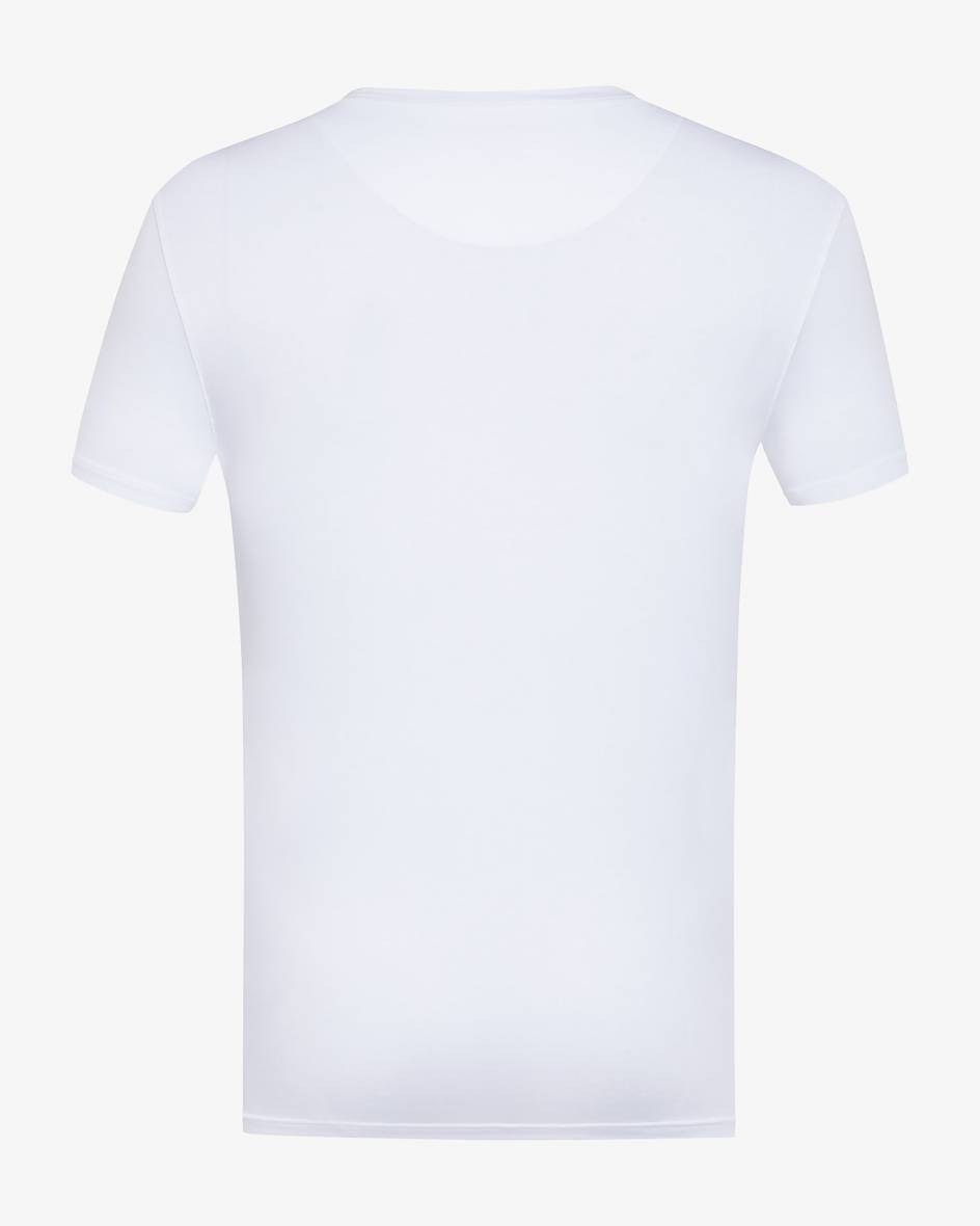 Derek Rose T-Shirt