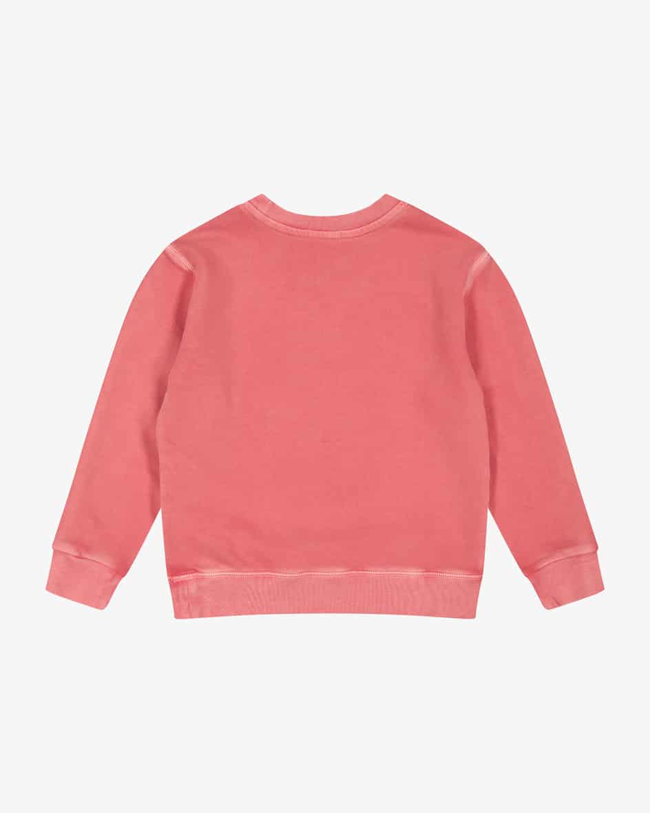 Polo Ralph Lauren Sweatshirt