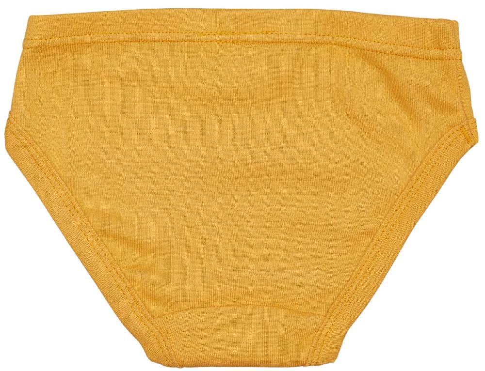 Loud Proud Doppelpack Slips Aus Feinripp