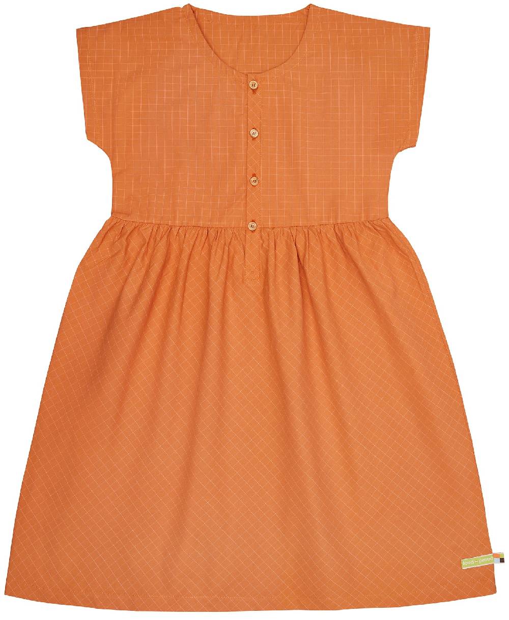 Loud Proud Kleid aus feinem Karo