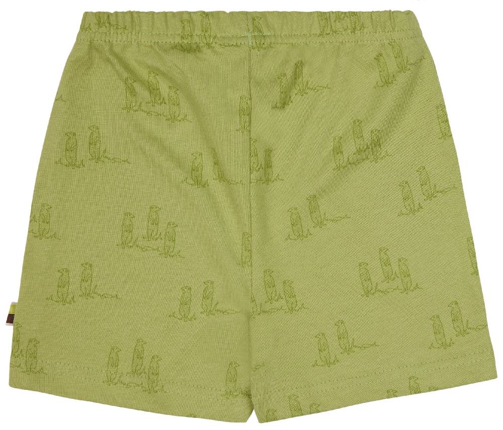 Loud Proud Short Druck