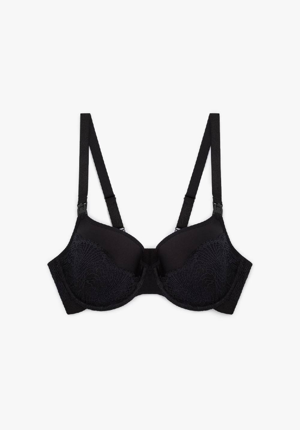 Lovjoi Still-BH OVINA