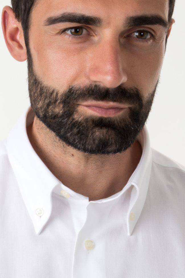 Aplomb Hemd Herren Aplomb Classic Einfarbig 100% Baumwolle Kragen Button-Down Lange Ärmel