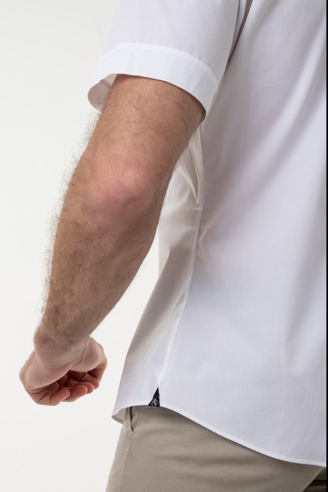Aplomb Hemd Herren Aplomb Classic Einfarbig 100% Baumwolle Kragen Italienisch Kurze Ärmel