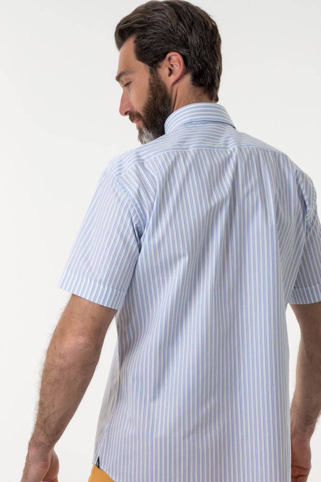 Aplomb Hemd Herren Aplomb Classic Streifen 100% Baumwolle Kragen Button-Down Kurze Ärmel