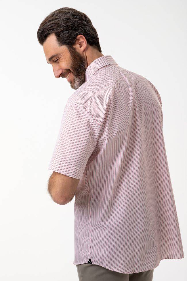 Aplomb Hemd Herren Aplomb Classic Streifen 100% Baumwolle Kragen Button-Down Kurze Ärmel