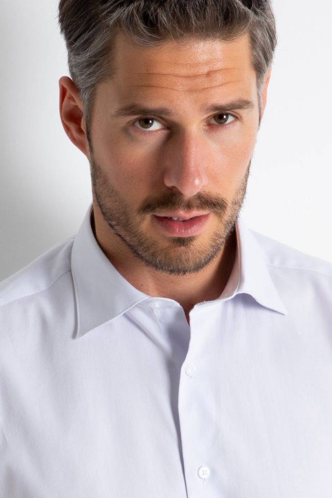 Aplomb Hemd Herren Aplomb Regular Einfarbig 100% Baumwolle Kragen Italienisch Lange Ärmel