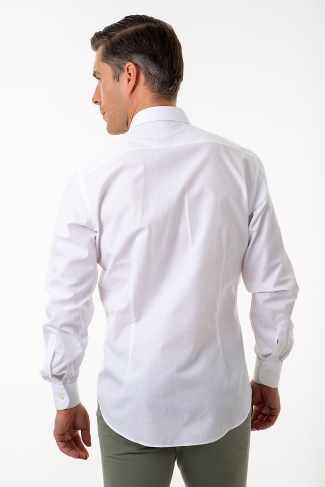 Aplomb Hemd Herren Aplomb Regular Einfarbig 100% Baumwolle Kragen Italienisch Lange Ärmel