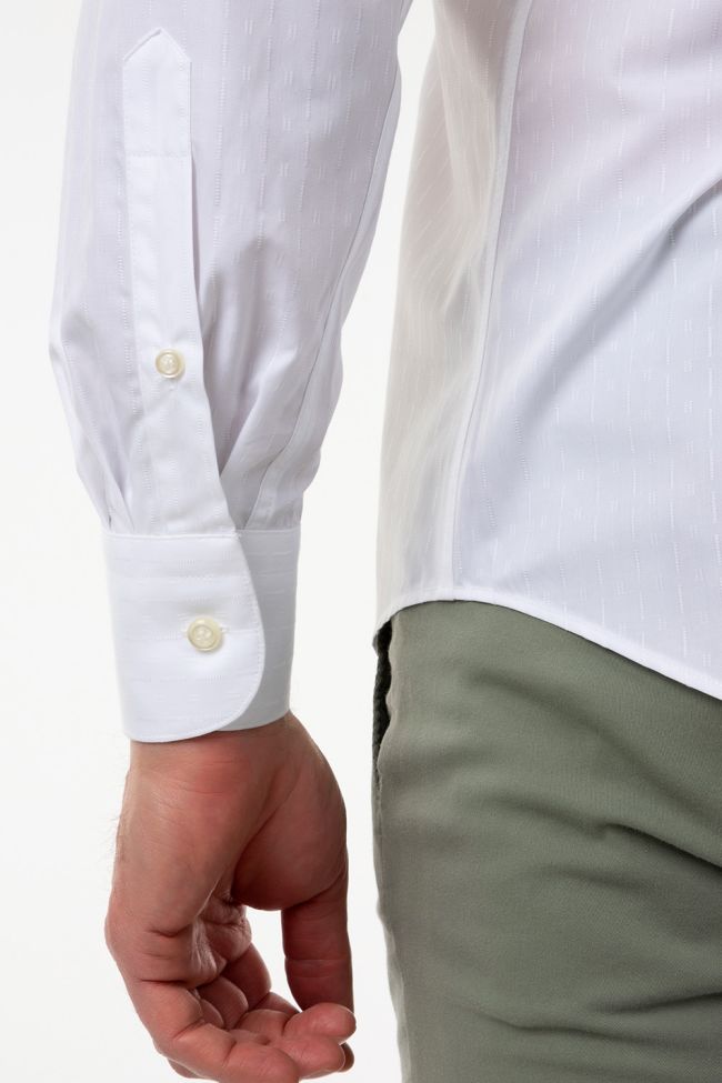 Aplomb Hemd Herren Aplomb Regular Einfarbig 100% Baumwolle Kragen Italienisch Lange Ärmel