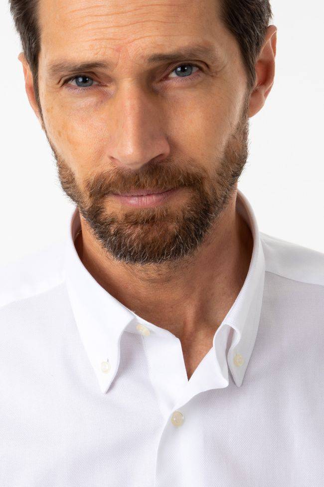 Aplomb Hemd Herren Aplomb Regular Einfarbig 100% Baumwolle Kragen Button-Down Lange Ärmel