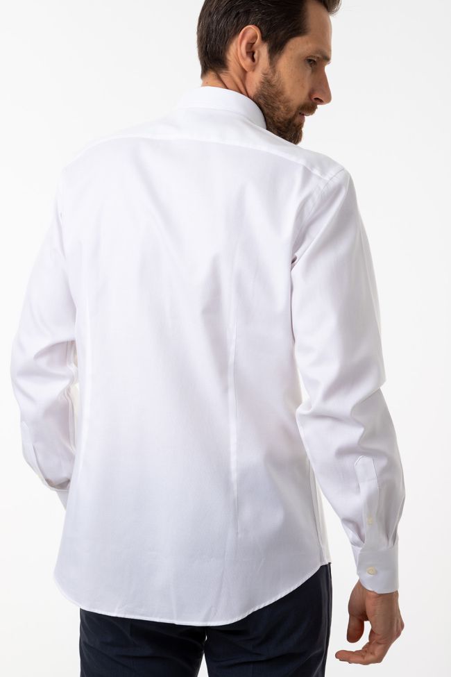 Aplomb Hemd Herren Aplomb Regular Einfarbig 100% Baumwolle Kragen Button-Down Lange Ärmel