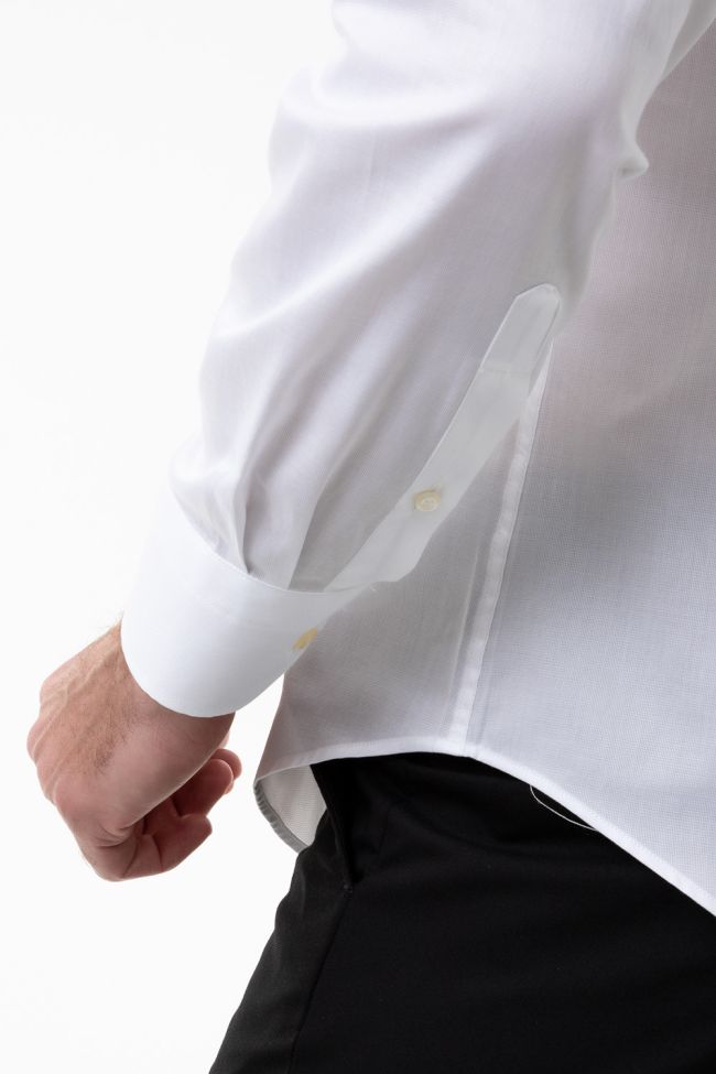 Aplomb Hemd Herren Aplomb Regular Einfarbig 100% Baumwolle Kragen Button-Down Lange Ärmel