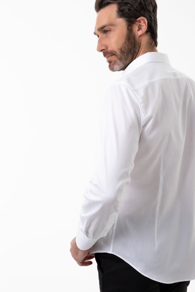 Aplomb Hemd Herren Aplomb Regular Einfarbig 100% Baumwolle Kragen Button-Down Lange Ärmel