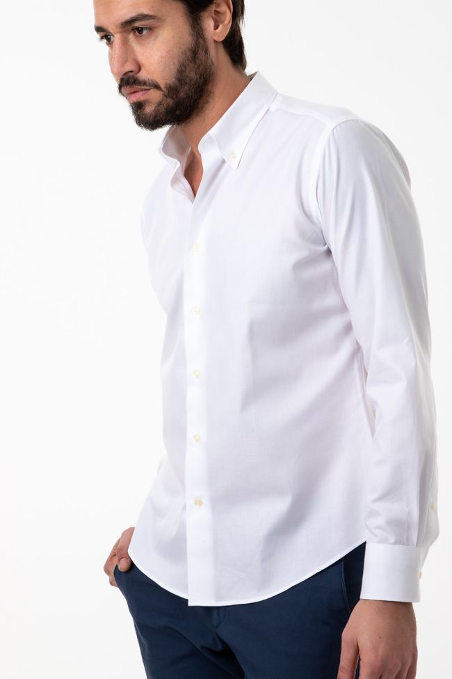 Aplomb Hemd Herren Aplomb Regular Einfarbig 100% Baumwolle Kragen Button-Down Lange Ärmel