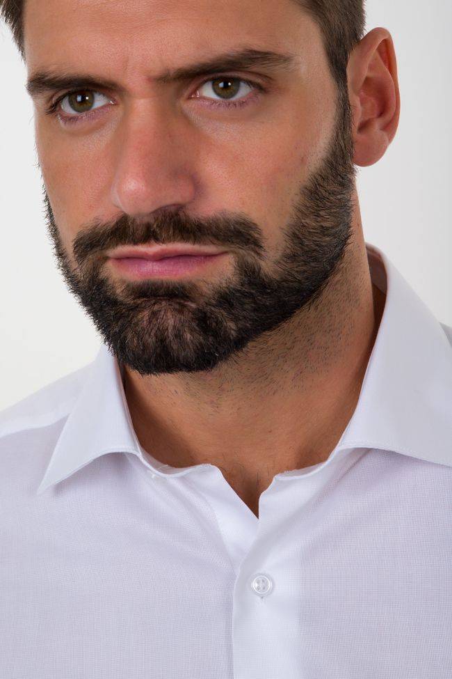 Aplomb Hemd Herren Aplomb Regular Einfarbig 100% Baumwolle Kragen Italienisch Lange Ärmel