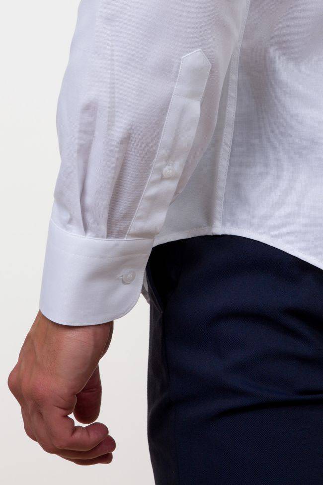 Aplomb Hemd Herren Aplomb Regular Einfarbig 100% Baumwolle Kragen Italienisch Lange Ärmel