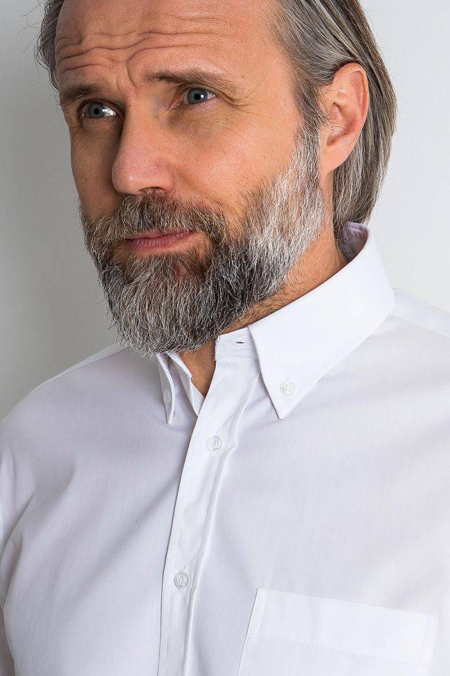 Ingram Hemd Herren Ingram Classic Einfarbig 100% Baumwolle Kragen Button-Down Lange Ärmel