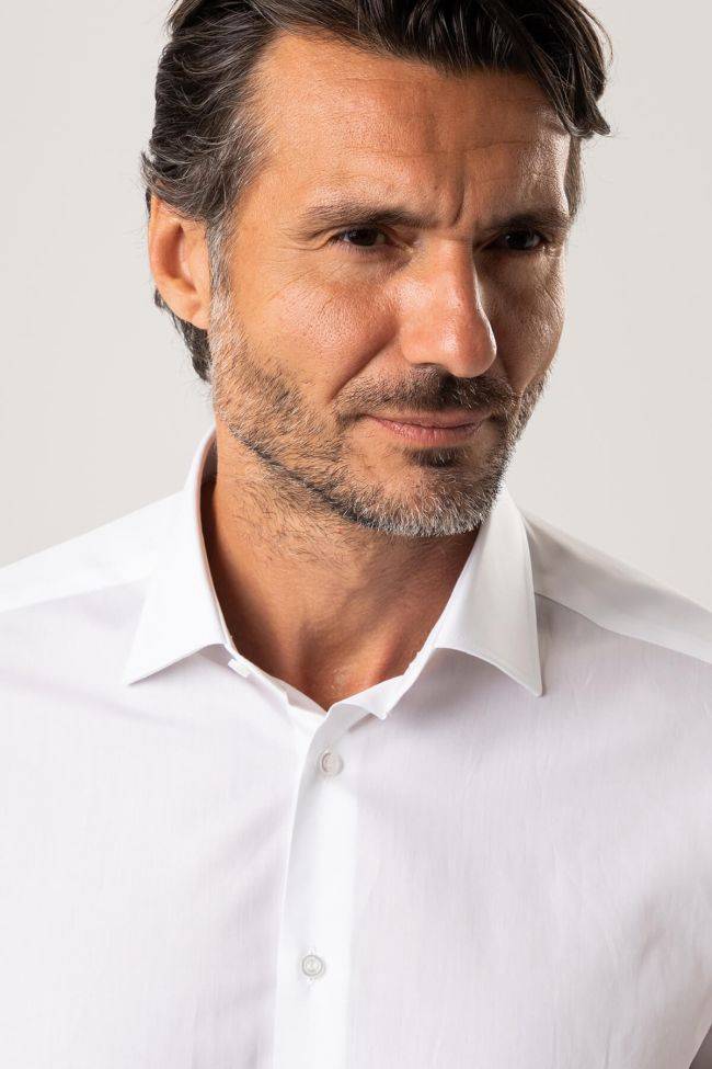 Ingram Hemd Herren Ingram Regular Einfarbig 100% Baumwolle Kragen Italienisch Lange Ärmel