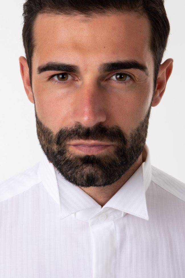 Ingram Hemd Herren Ingram Slim Einfarbig 100% Baumwolle Kragen Kläppchenkragen Lange Ärmel