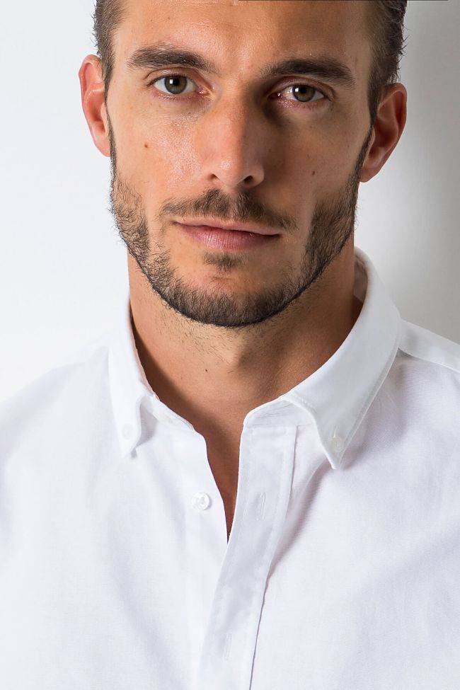 Seidensticker Hemd Herren Seidensticker Regular Einfarbig 100% Baumwolle Kragen Button-Down Lange Ärmel