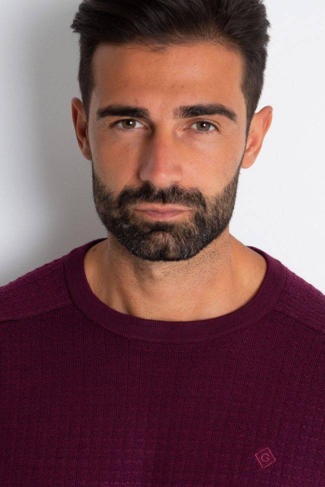 Gant Strickwaren Herren Gant Rundhalsausschnitt Classic Einfarbig 100% Merinowolle