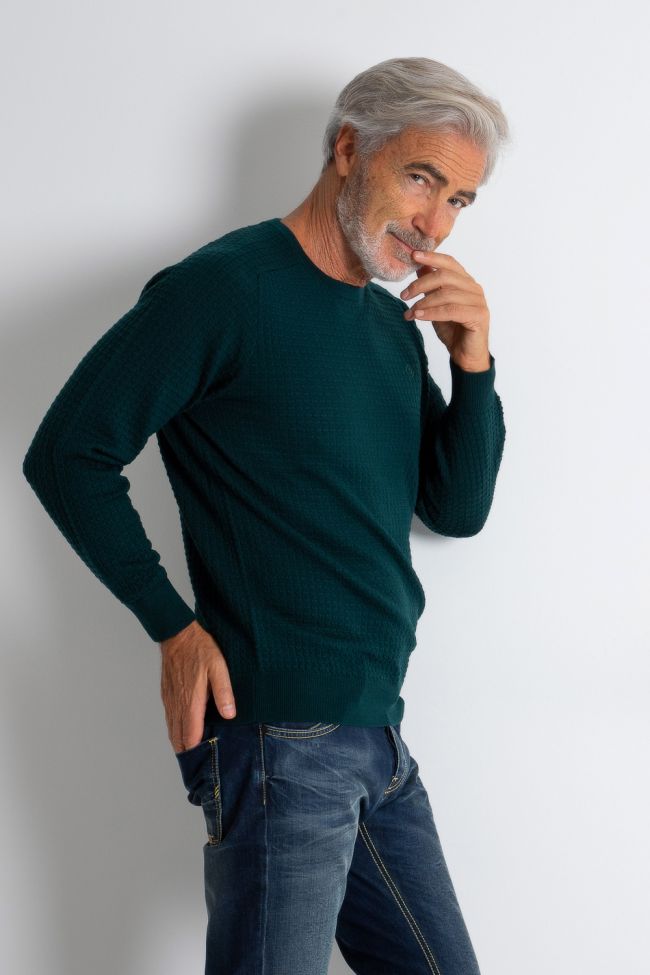 Gant Strickwaren Herren Gant Rundhalsausschnitt Classic Einfarbig 100% Wolle